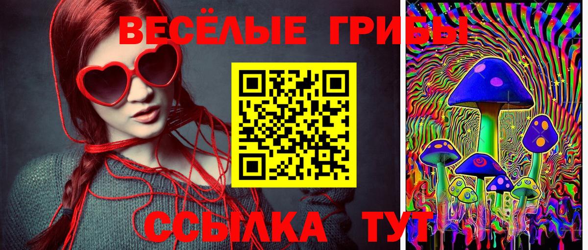 Псилоцибиновые грибы GOLDEN TEACHER Борзя