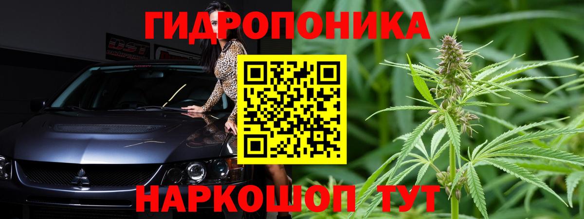 Конопля марихуана Борзя